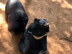-昆明动物园