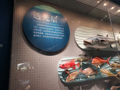 -贝林大翅鲸简餐厅(国家海洋博物馆店)