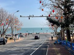 -养马岛旅游度假区
