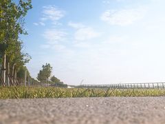 -贝林大翅鲸简餐厅(国家海洋博物馆店)