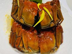 海派熟醉蟹-南麓·浙里(外滩店)