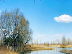 -蒲河岛湿地公园