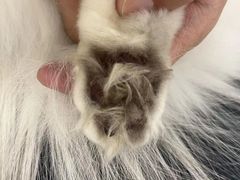 -comecome来吧宠物(奥克斯中心店)