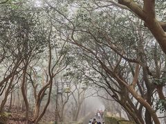 -普陀山慧济禅寺