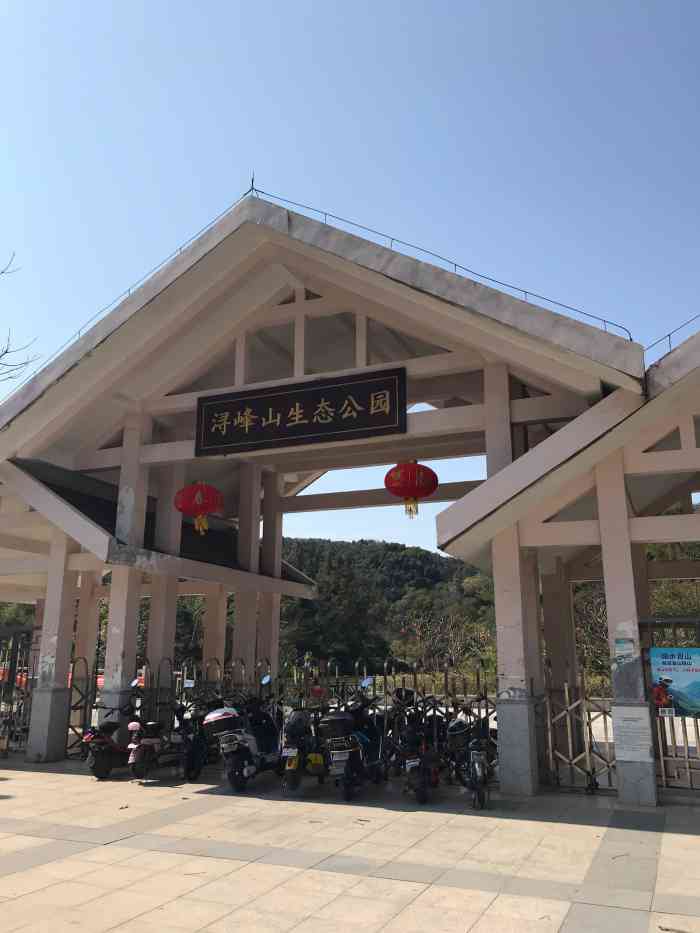 浔峰山生态公园-"90住在金沙洲只要不出洲,绝对是件很幸福.