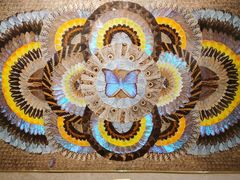 -上海昆虫博物馆