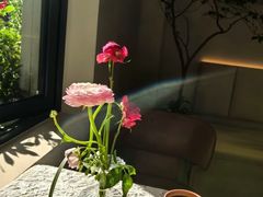 -花神·轻食简餐·咖啡馆·花卉绿植(荷兰花卉小镇店)