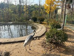 -宿豫区运河湾森林动物园