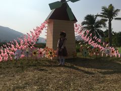 -亚龙湾国际玫瑰谷