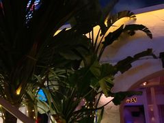 -CLUB VIVA(购物公园店)