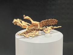-大同市博物馆