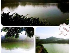 20140828桂湖酒店湖景-桂湖饭店