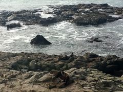-摩拉基大圆石