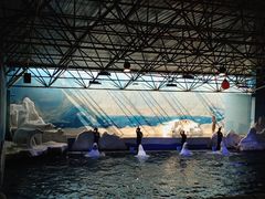 -秦皇岛乐岛海洋王国