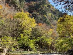 -北京上方山国家森林公园