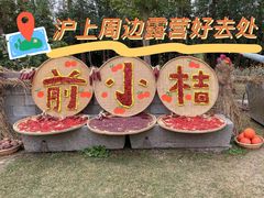 -前小桔亲子创意农场·草莓采摘·露营烧烤