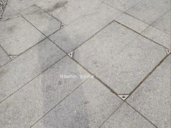 -中山市树木园