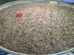 -中国茶叶博物馆(双峰馆区)
