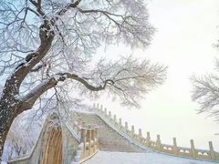 -颐和园