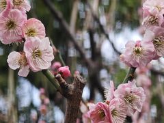 -静安雕塑公园