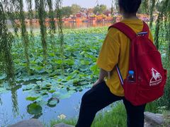 -中国翰园碑林