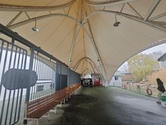 -浦口码头(轮渡站)