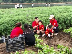 -广州市石门国家森林公园