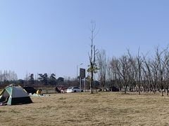 -两河城市森林公园