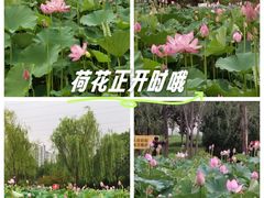 -太阳宫公园