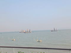 -贡湖湾湿地公园