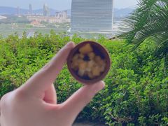 -海棠湾仁恒皇冠度假酒店-270°海景餐厅