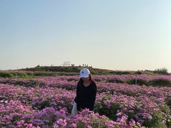 -光明小镇欢乐田园