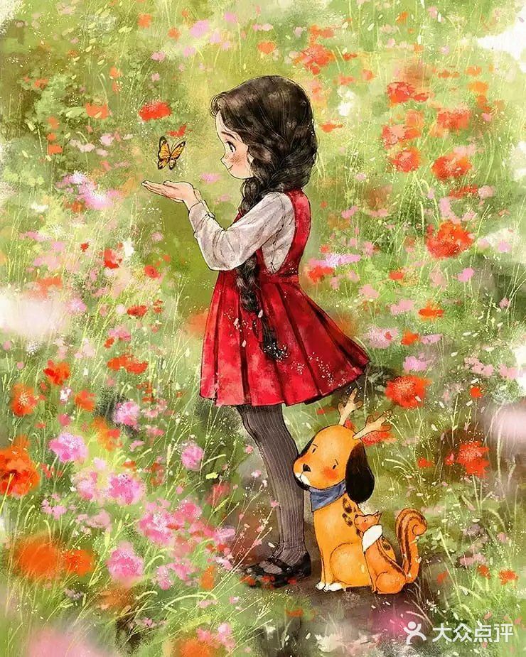 森林女孩日记,令人向往的生活