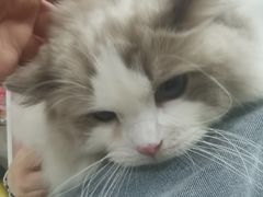 -酷狗靓猫宠物·洗护·美容·寄养(航北路店)