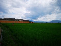 -喜林苑·稻田餐厅(品相府店)