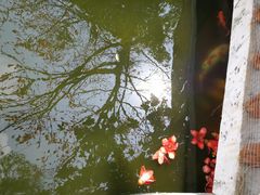 -金砂公园