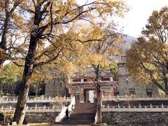-康定跑马山风景区