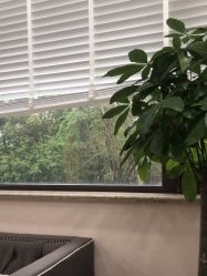 -上海首尔丽格医疗美容医院