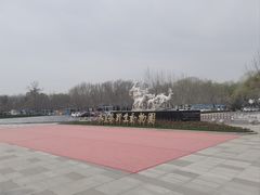 -秦皇岛野生动物园