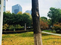 景点-金鸡湖景区