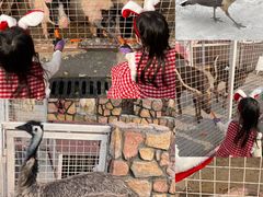 -J Create城市露营咖啡·简餐·宠物(上海动物园店)