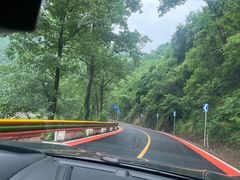 -栾川竹海野生动物园