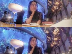 -迪拜帆船酒店海底餐厅