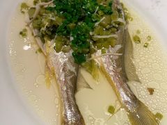 -苏浙汇(肇嘉浜路总店)