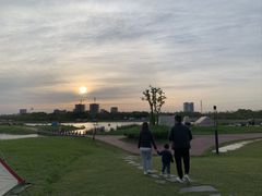 -春花秋色城市公园