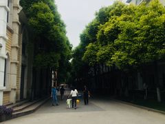 -金庭庄园酒店-停车场