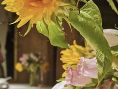 -春暖花开(西溪店)