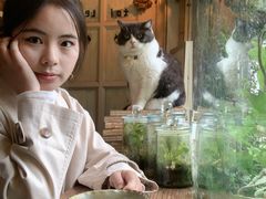 -海边的猫和咖啡馆