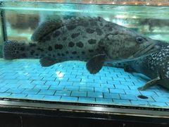 -渔民新村(番禺总店)