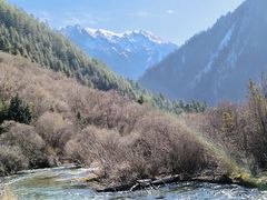 -九寨沟-树正沟
